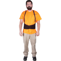 Back Support, Elastic, Medium NTL Industrial