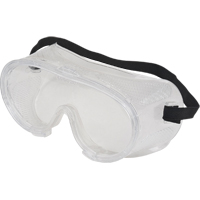 Z300 Safety Goggles, Clear Tint, Anti-Scratch, Elastic Band SEF218 | NTL Industrial