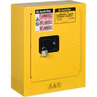 Sure-Grip<sup>®</sup> EX Mini Flammable Safety Cabinet, 2 Gal., 1 Door, 17" W x 22" H x 8" D SEG862 | NTL Industrial