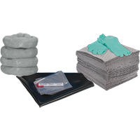 Trousse de rechange pour atelier, 30 gallons, Universel NTL Industrial