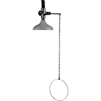 Lifesaver&reg; Emergency Overhead Showers, Ceiling-Mount NTL Industrial