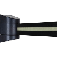 TensaBarrier&reg; Wall Mounted Units, Plastic, Screw Mount, 15', Black Tape NTL Industrial