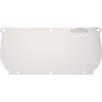 Visi&egrave;re, Polycarbonate, Teinte Transparent NTL Industrial