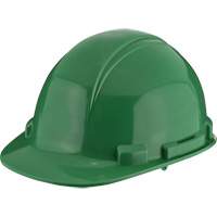 Dynamic Whistler Hardhat, CSA Type 1, Pinlock Suspension NTL Industrial