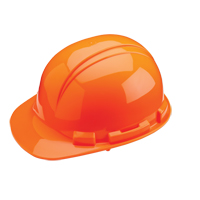 Dynamic Whistler Hardhat, CSA Type 1, Pinlock Suspension NTL Industrial