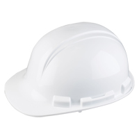 Dynamic Whistler Hardhat, CSA Type 1, Ratchet Suspension NTL Industrial