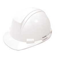 Dynamic Mont-Blanc Hardhat, CSA Type 2, Ratchet Suspension NTL Industrial