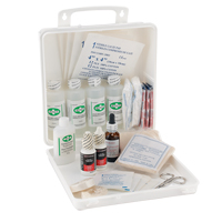 Dynamic Burn First Aid Kit for Welders, Class 1 Medical Device, Plastic B NTL Industrial