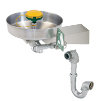 Axion<sup>®</sup> Eye/Face Wash Station, Wall-Mount Installation, Stainless Steel Bowl SGC270 | NTL Industrial