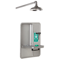 Eye/Face Wash and Shower, Ceiling-Mount SGC296 | NTL Industrial