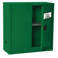 Pesticide Storage Cabinet, 30 gal., 44" H x 43" W x 18" D SGD360 | NTL Industrial