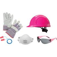Ladies' Worker PPE Starter Kit SGH559 | NTL Industrial