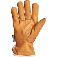 Gants de conducteur Endura, Petit, Paume en Cuir fleur de ch&egrave;vre, Thinsulate NTL Industrial