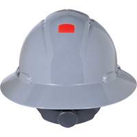 Full Brim Hardhat with Uvicator Sensor, Ratchet Suspension NTL Industrial