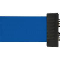 Wall Mount Barrier with Magnetic Tape, Steel, Screw Mount, 7', Blue Tape SGR025 | NTL Industrial