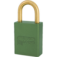 Cadenas NTL Industrial