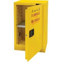 Flammable Storage Cabinet, 12 gal., 1 Door, 23" W x 35" H x 18" D SGU463 | NTL Industrial