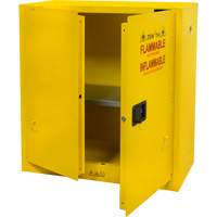 Flammable Storage Cabinet, 30 gal., 2 Door, 43" W x 44" H x 18" D SGU465 | NTL Industrial