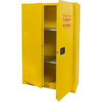 Flammable Storage Cabinet, 45 gal., 2 Door, 43" W x 65" H x 18" D SGU466 | NTL Industrial