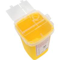 Sharps Container, 1 L Capacity SGW112 | NTL Industrial