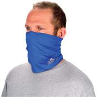 Chill-Its&reg; 6489 2-Layer Cooling Multi-Band, Blue NTL Industrial