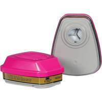 Cartouche, Combinaison cartouche et filtre contre les particules pour gaz/vapeurs, Gaz multiples/Vapeurs/P100 NTL Industrial