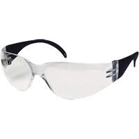 CeeTec Safety Glasses, Clear Lens, Anti-Fog/Anti-Scratch, Meets/Exceeds CSA Z94.3 NTL Industrial