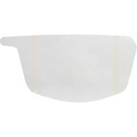 Primair&reg; 900 Series Peel-Off Visor Cover NTL Industrial
