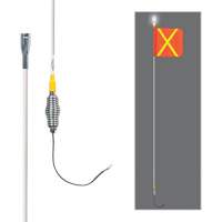 All-Weather Super-Duty Warning Whips with Constant LED Light, Spring Mount, 5' High, Orange with Reflective X SGY857 | NTL Industrial