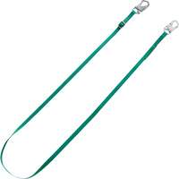 Longe de retenue Tieback V-Series, 10' NTL Industrial