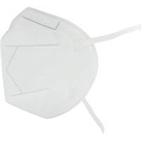Respirateur jetable, N95, Certifi&eacute; NIOSH, Taille unique NTL Industrial