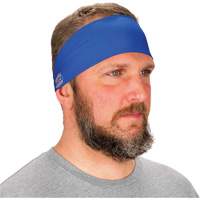 Chill-Its 6634 Cooling Headband, Blue NTL Industrial