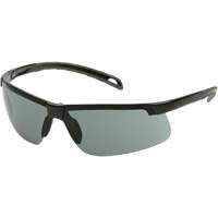 Lunettes de s&eacute;curit&eacute; Ever-Lite, Lentille Gris, Antibu&eacute;e, ANSI Z87+/R&eacute;pond ou surpasse la norme CSA Z94.3 NTL Industrial