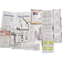 Shield™ Basic First Aid Kit Refill, CSA Type 2 Low-Risk Environment, Small (2-25 Workers) SHJ863 | NTL Industrial