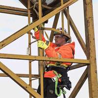 SA-54022-4 Shock Absorbing Lanyard, 4', Form Hook Center, Snap Hook Leg Ends, Polyester NTL Industrial