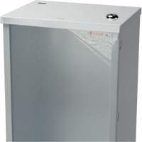 Light-Duty Fire Extinguisher Cabinet, 8" W x 22" H x 6" D NTL Industrial