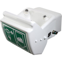 Eye/Face Wash, Wall-Mount Installation, Plastic Bowl NTL Industrial