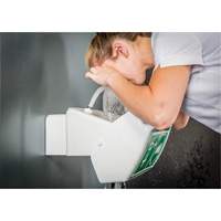 Eye/Face Wash, Wall-Mount Installation, Plastic Bowl NTL Industrial