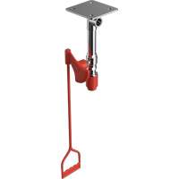 Drench Shower, Ceiling-Mount NTL Industrial