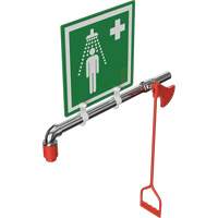 Drench Shower, Water Ring Main Mount NTL Industrial