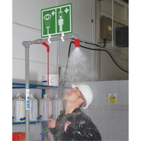 Combination Shower with Closed ABS Bowl & Top Inlet, Pedestal NTL Industrial