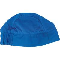 Cooling Skull Cap, Blue NTL Industrial