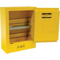 Armoire de s&eacute;curit&eacute; miniature pour produits inflammables, 2 gal., 1 Porte(s), 17" La x 22" h x 8" p NTL Industrial