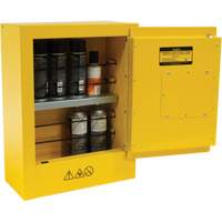 Armoire de s&eacute;curit&eacute; miniature pour produits inflammables, 2 gal., 1 Porte(s), 17" La x 22" h x 8" p NTL Industrial