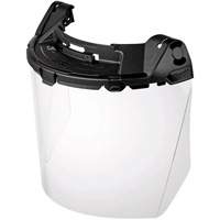 BOLT Task Full Face Shield, Polycarbonate, Pinlock Suspension NTL Industrial