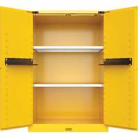Armoire de s&eacute;curit&eacute; pour produits inflammables Utili-Guard+, 45 gal., 2 Porte(s), 43" La x 65" h x 22" p NTL Industrial