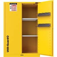 Armoire de s&eacute;curit&eacute; pour produits inflammables Utili-Guard+, 45 gal., 2 Porte(s), 43" La x 65" h x 22" p NTL Industrial