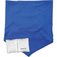 Chill-Its 6482 Cooling Neck Gaiter Bandana with Rechargeable Phase Change Packs, Small/Medium, Blue NTL Industrial