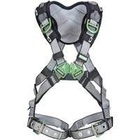 Harnais de s&eacute;curit&eacute; complet V-Fit, Certifi&eacute;e CSA, Classe AEP, Standard, Cap. 400 lb NTL Industrial