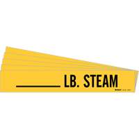 Marqueurs de tuyau LB. Steam, Autocollant, 2-1/4" h x 2-3/4" la, Noir sur jaune NTL Industrial
